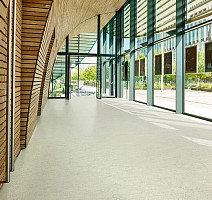 Forbo Marmoleum Decibel 386035 silver shadow фото 2 | FLOORDEALER